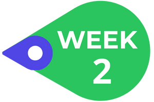 Week 2 Marker