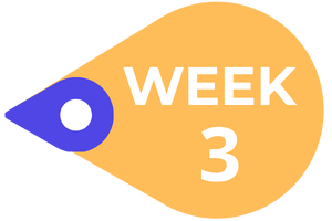 Week 3 Marker